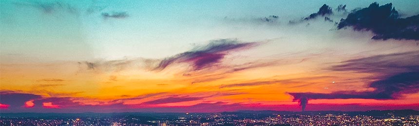 定西茶虫网_定西品茶